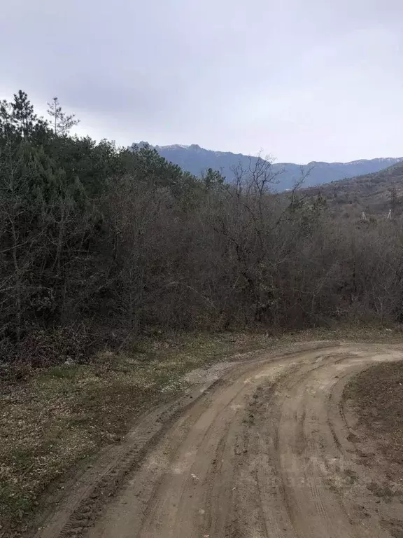 Участок в Крым, Алушта муниципальный округ, пос. Семидворье, Надежда ... - Фото 2