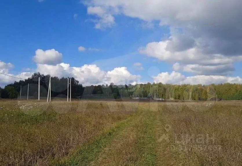 Участок в Пермский край, Краснокамский муниципальный округ, пос. ... - Фото 2