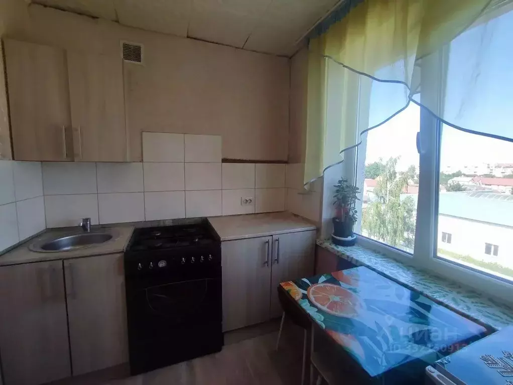 3-к кв. Калининградская область, Светлый Заводская ул., 6 (60.0 м) - Фото 2