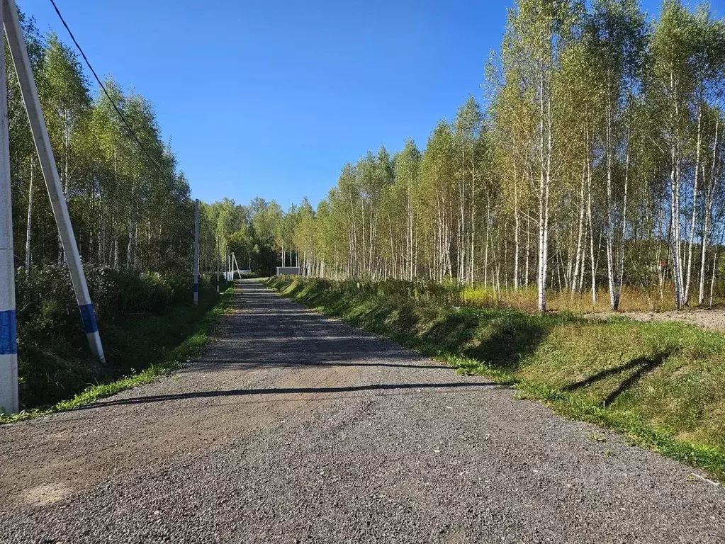 Участок в Московская область, Чехов городской округ, с. Троицкое  ... - Фото 0