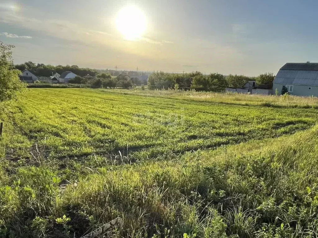 Участок в Курская область, Октябрьский район, Черницынский сельсовет, ... - Фото 1