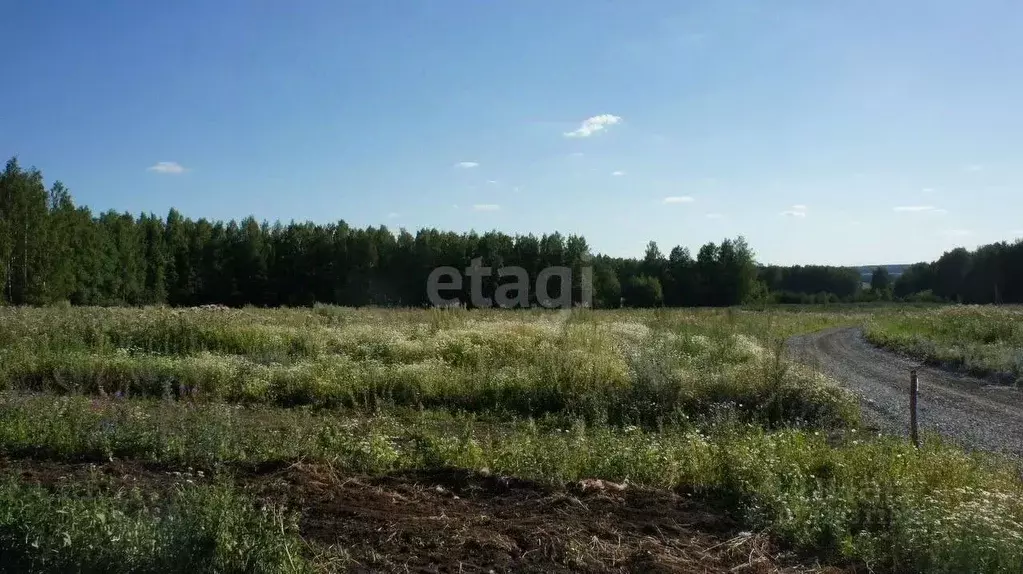 Участок в Свердловская область, Сысертский муниципальный округ, Грин ... - Фото 1