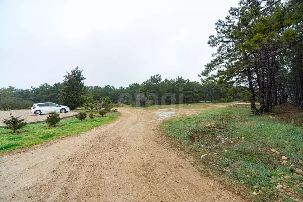 Участок в Севастополь Чайка садоводческое товарищество, ул. 4-я (5.0 ... - Фото 1