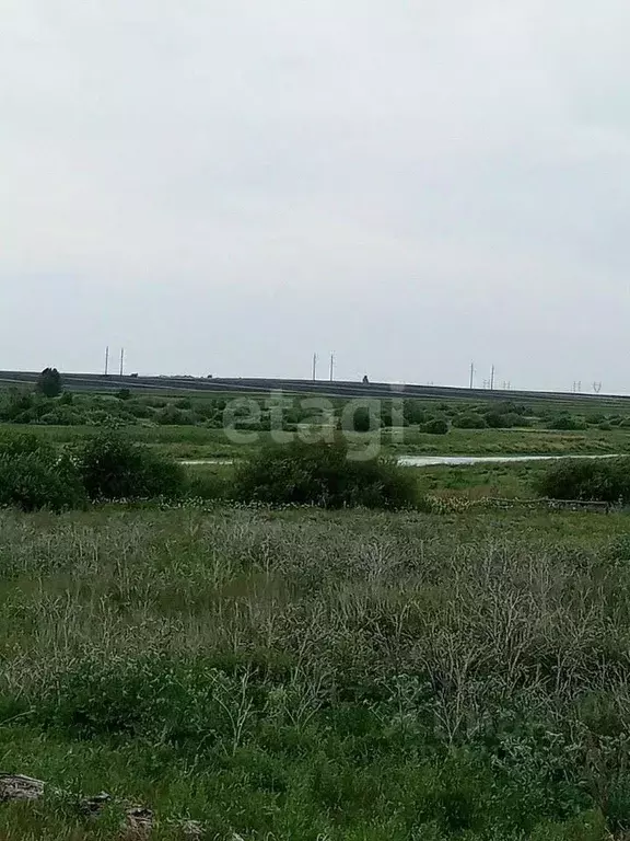Участок в Свердловская область, Белоярский муниципальный округ, с. ... - Фото 1