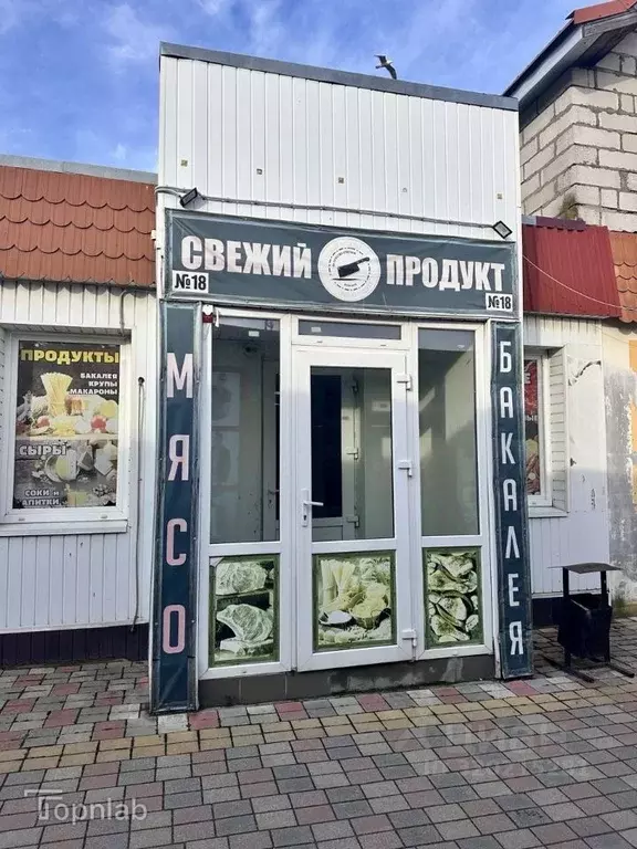 Торговая площадь в Калининградская область, Светлый ул. Лизы Чайкиной ... - Фото 2