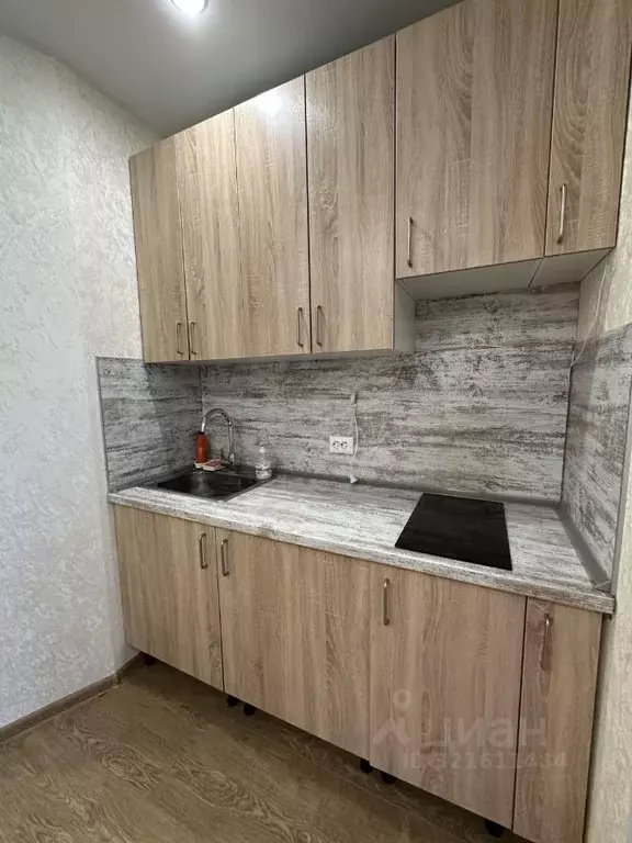 Студия Краснодарский край, Сочи городской округ, Дагомыс пгт ул. ... - Фото 0