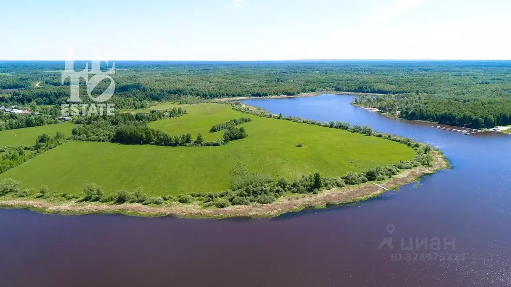 Участок в Ярославская область, Угличский муниципальный округ, д. ... - Фото 2