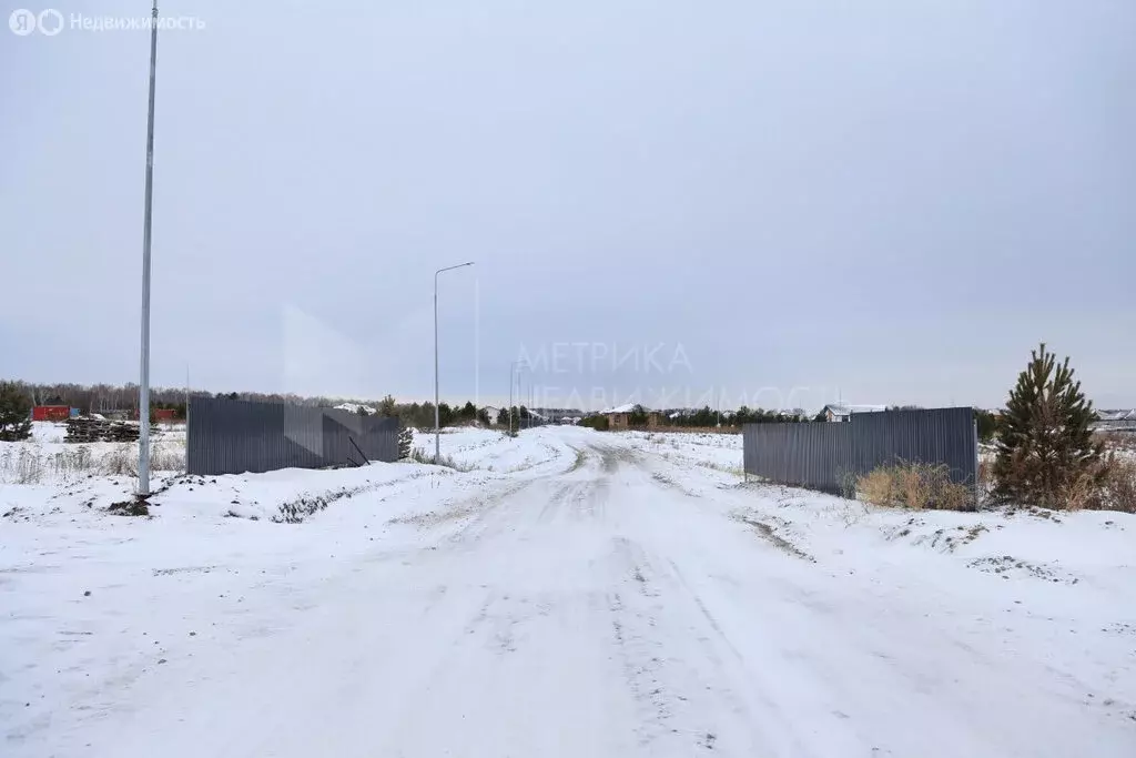 Участок в Тюмень, садоводческое некоммерческое товарищество ... - Фото 1