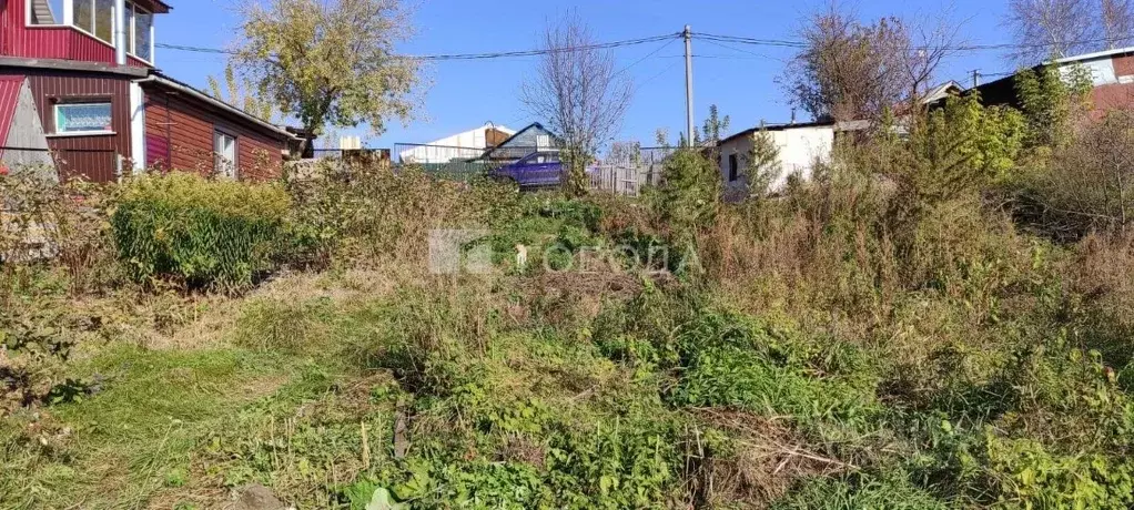 Участок в Алтайский край, Новоалтайск Раздольная ул. (10.8 сот.) - Фото 1