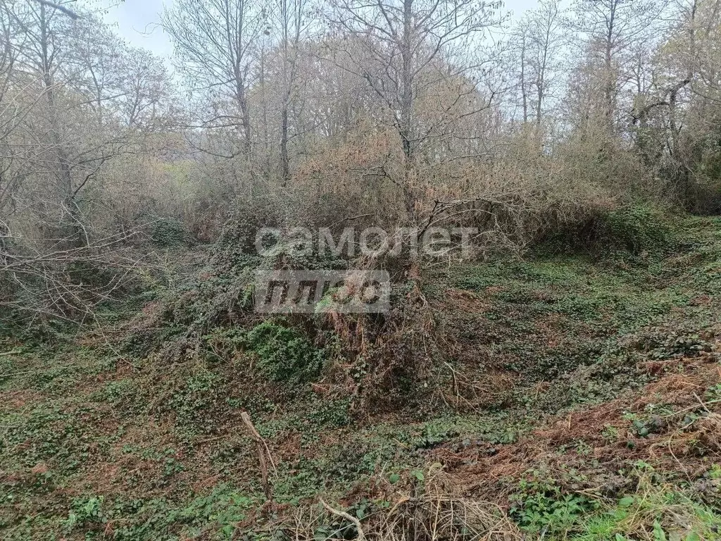Участок в Краснодарский край, Сочи городской округ, с. Высокое ул. ... - Фото 0