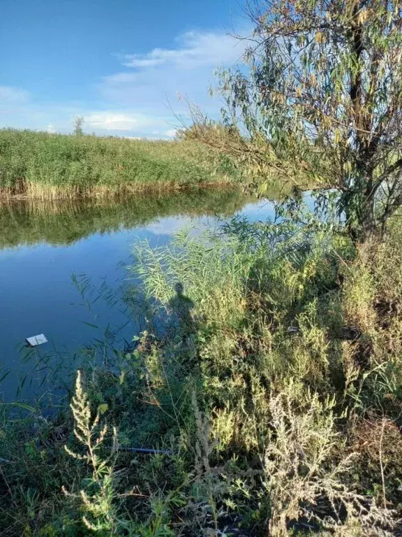 Участок в Ростовская область, Ростов-на-Дону ул. 8-я Конструктивная ... - Фото 1
