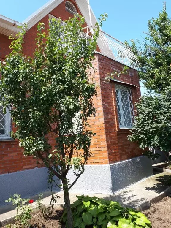 Дом в Краснодарский край, Анапа муниципальный округ, с. Витязево ул. ... - Фото 1