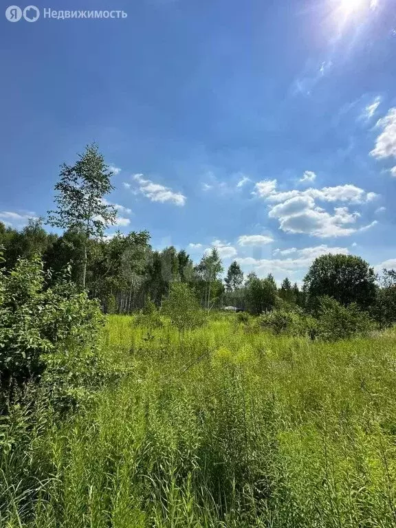 Участок в Тульская область, городской округ Тула, село Частое (10 м) - Фото 2