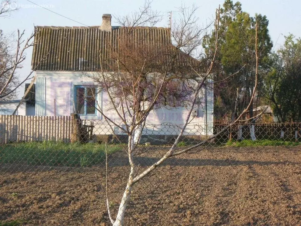 Дом в Кировский район, Журавское сельское поселение, село Новопокровка ... - Фото 2