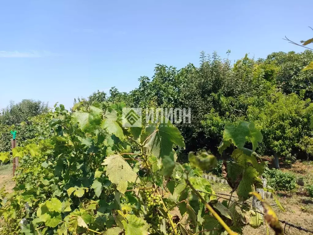 Дом в Севастополь Сосновый Бор садоводческое товарищество,  (68 м) - Фото 2