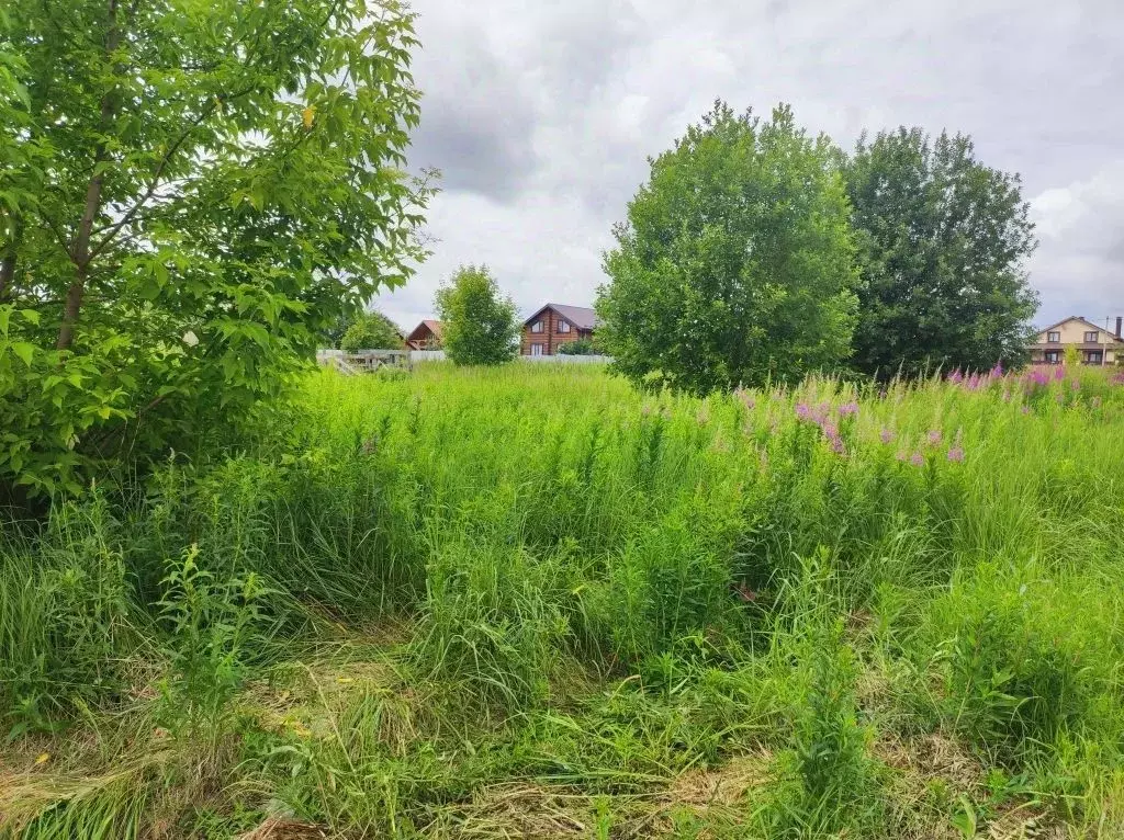 Участок в Нижегородская область, Богородский муниципальный округ, ... - Фото 1