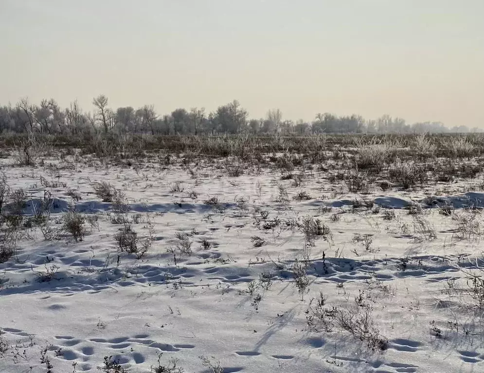 Участок в Хакасия, Усть-Абаканский район, с. Зеленое ул. Мичурина ... - Фото 1