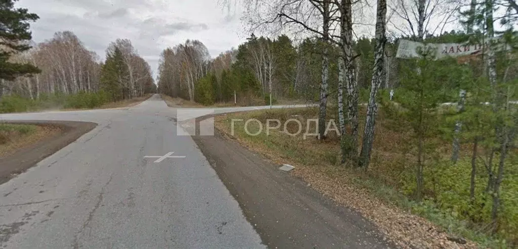 Участок в Новосибирская область, Новосибирский район, Кубовинский ... - Фото 2