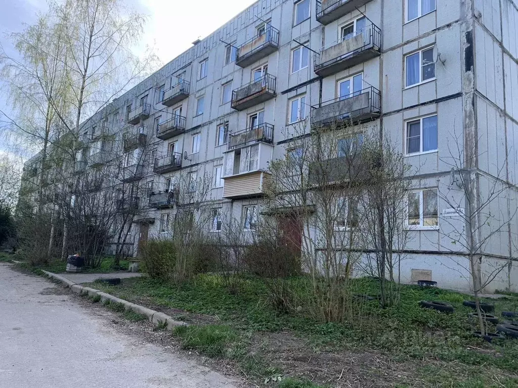 2-к кв. Ленинградская область, Гатчинский муниципальный округ, д. ... - Фото 2