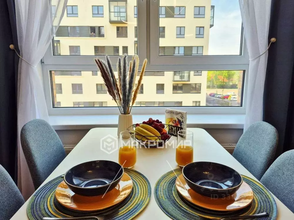 Студия Санкт-Петербург пос. Песочный, Центральная ул., 83 (28.1 м) - Фото 1