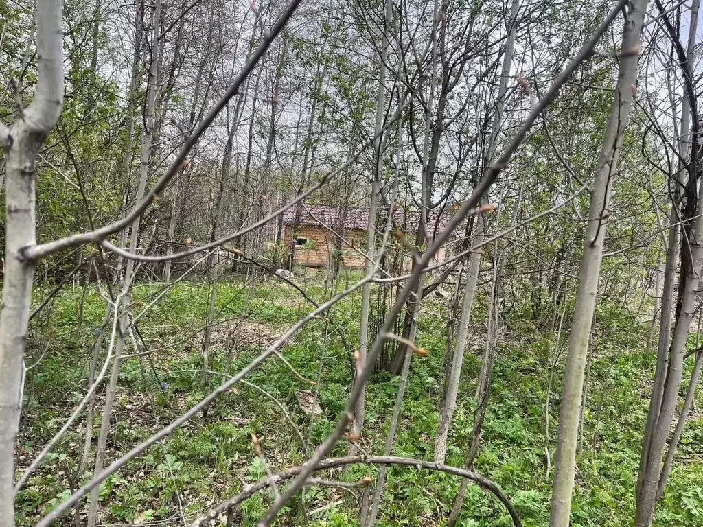 Участок в Томская область, Томский район, д. Новомихайловка ул. ... - Фото 0