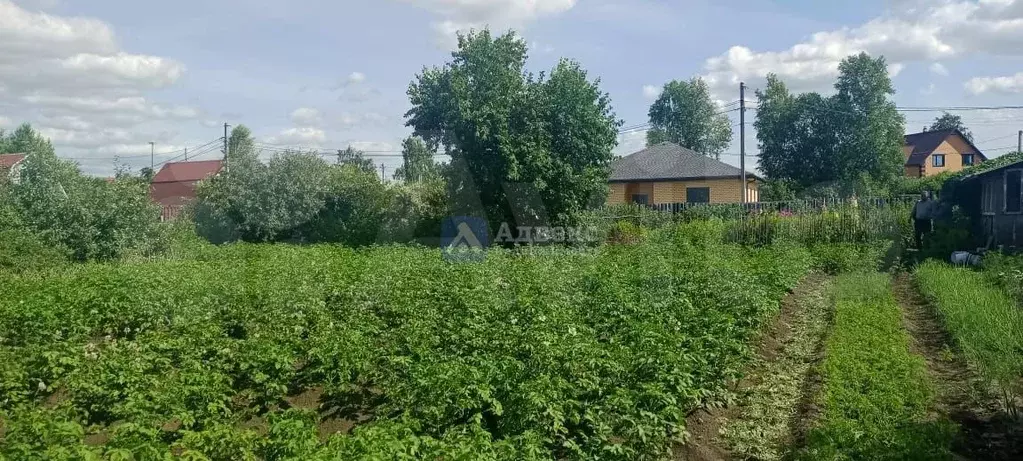 Участок 13,5 сот. (СНТ, ДНП) - Фото 1