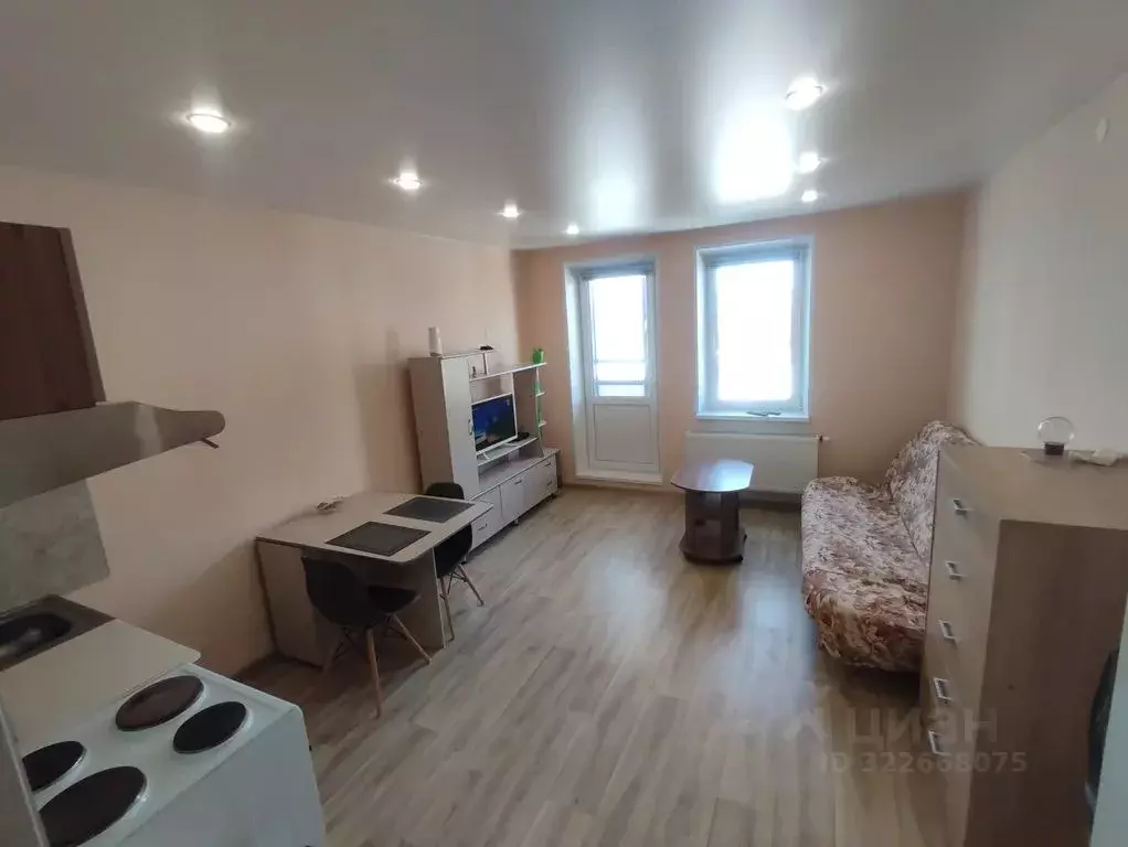 Студия Ленинградская область, Ломоносовский район, Виллозское ... - Фото 2