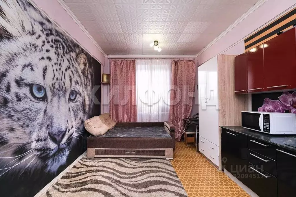 Комната Новосибирская область, Новосибирск ул. Богдана Хмельницкого, ... - Фото 1