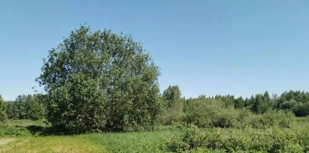 Участок в Московская область, Дмитровский муниципальный округ, д. ... - Фото 0