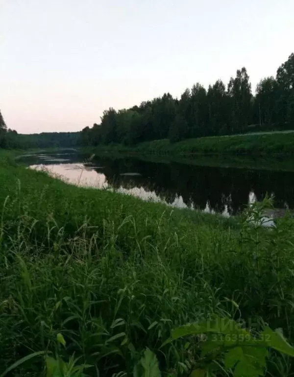 Участок в Ленинградская область, Волховский район, Хваловское с/пос, ... - Фото 0