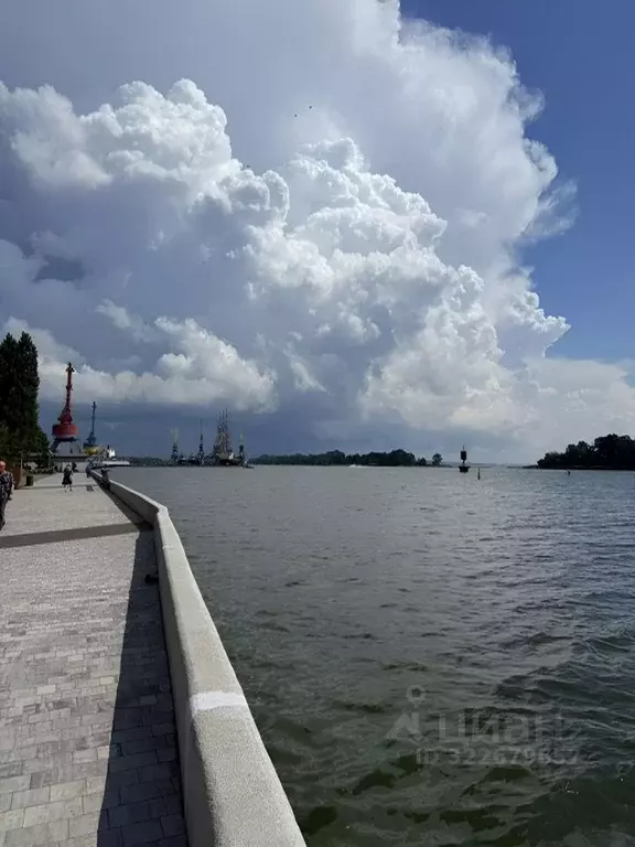 3-к кв. Калининградская область, Светлый Заводская ул., 8 (58.0 м) - Фото 2