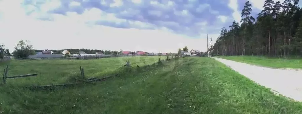 Участок в Новосибирская область, Ордынский район, с. Спирино ул. ... - Фото 1