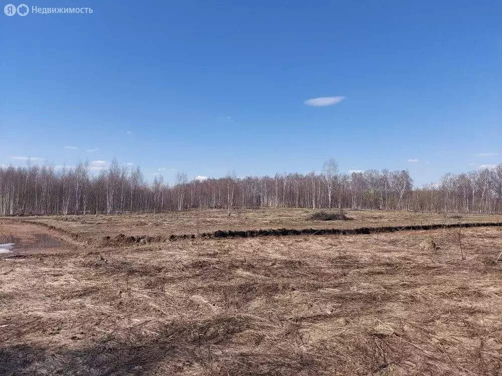 Участок в Московская область, Раменский муниципальный округ, КП РАОС ... - Фото 1