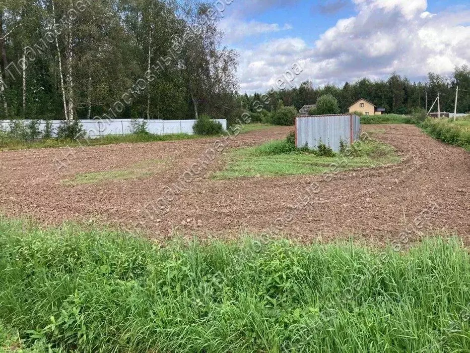 Участок в Московская область, Дмитровский муниципальный округ, ... - Фото 2