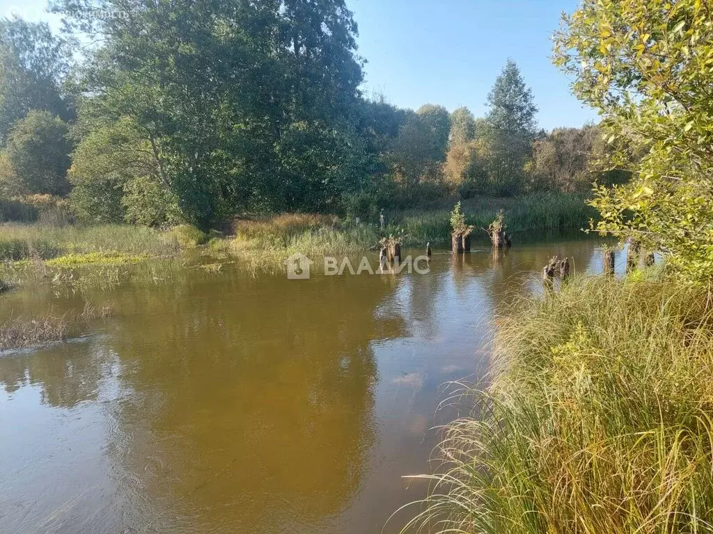 Участок в Выборгский район, Приморское городское поселение, посёлок ... - Фото 0