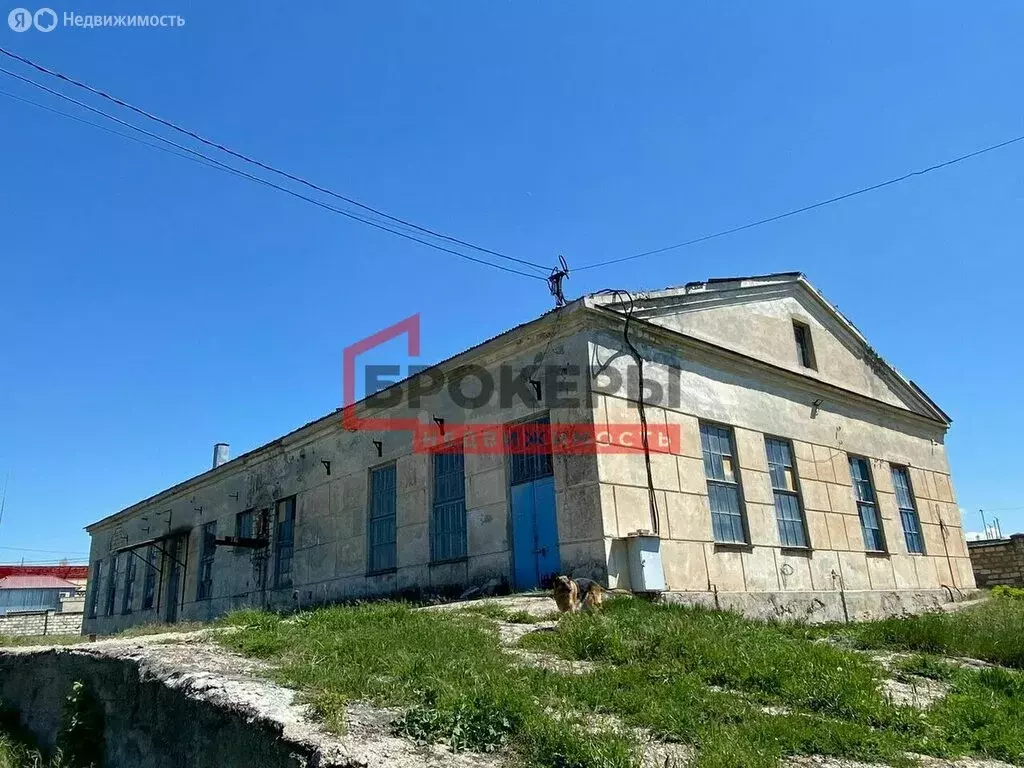 Помещение свободного назначения (680 м) - Фото 1