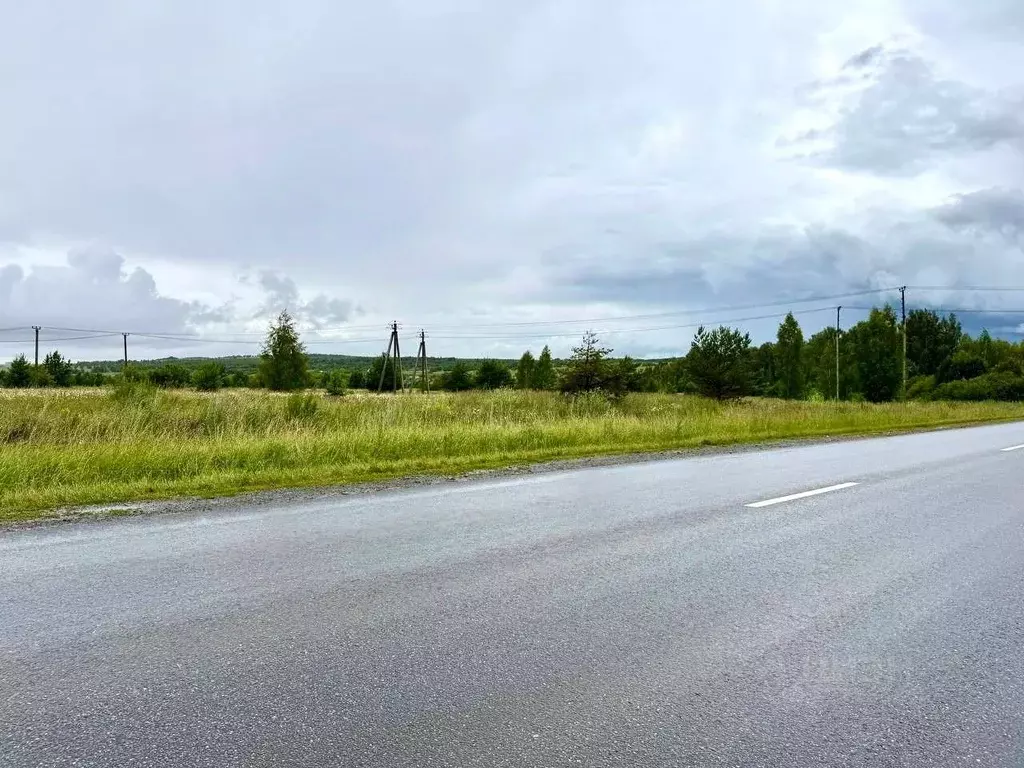 Участок в Татарстан, Пестречинский район, Богородское с/пос, д. Куюки  ... - Фото 2