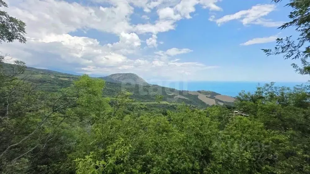 Участок в Крым, Алушта муниципальный округ, с. Малый Маяк ул. Зеленая ... - Фото 2