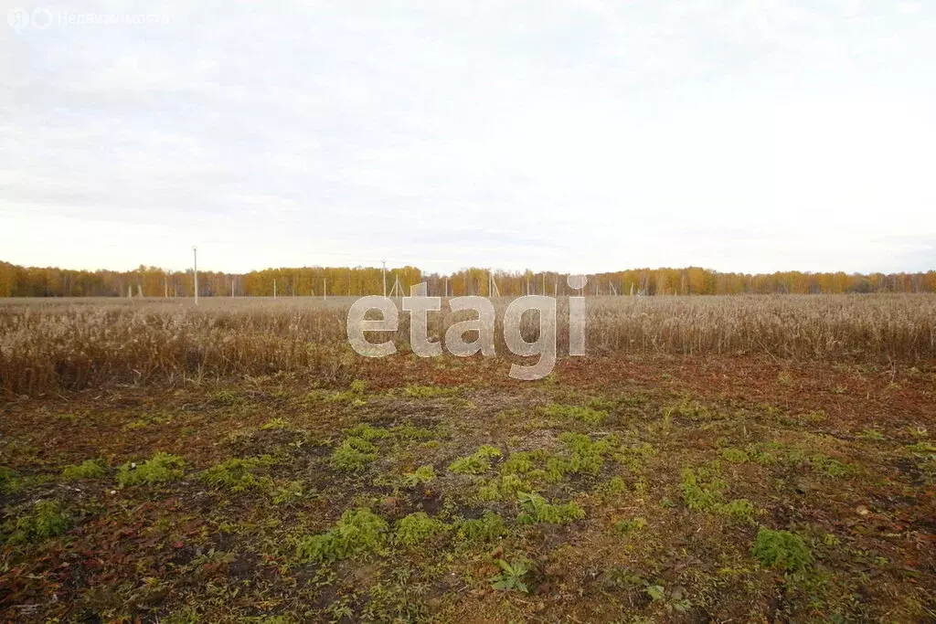 Участок в село Новая Заимка, Приречная улица (21.8 м) - Фото 2