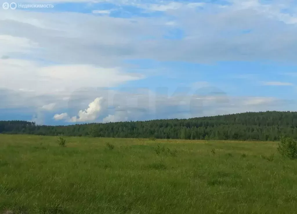 Участок в село Нижняя Шиловка, Светогорская улица (10.3 м) - Фото 0