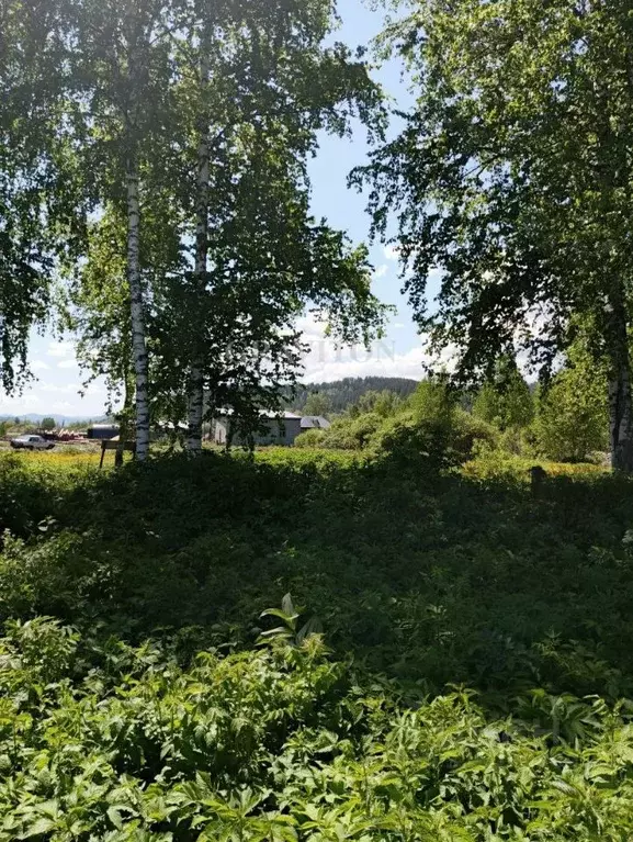 Участок в Алтай, Майминский район, с. Кызыл-Озек Советская ул. (10.0 ... - Фото 2