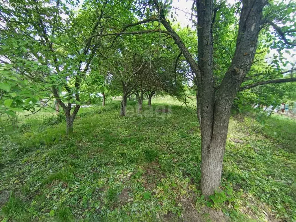 Участок в Старооскольский городской округ, село Нижнеатаманское, ... - Фото 1