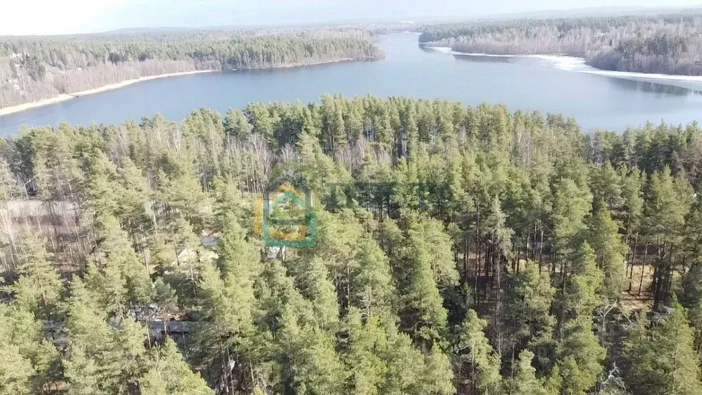 Участок в Ленинградская область, Приозерский район, Сосновское с/пос, ... - Фото 1