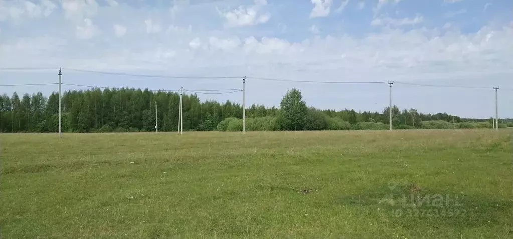 Участок в Татарстан, Лаишевский район, Егорьевское с/пос, д. Зимняя ... - Фото 2