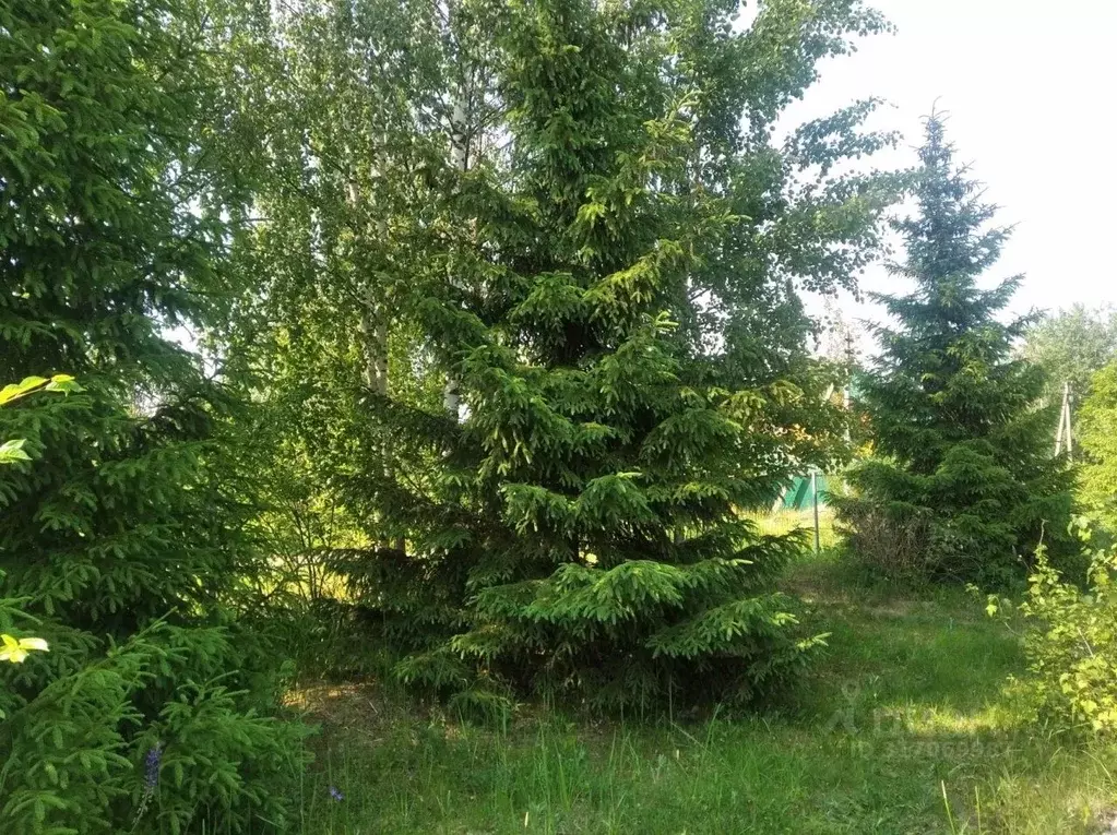 Участок в Ленинградская область, Ломоносовский район, Виллозское ... - Фото 1
