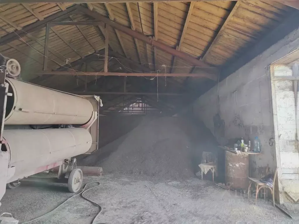 Склад в Алтайский край, Курьинский район, Ивановский сельсовет, с. ... - Фото 1