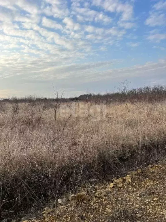 Участок в Ростовская область, Аксайский район, Старочеркасская ст-ца  ... - Фото 1