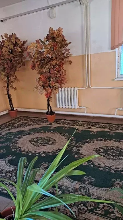 Помещение свободного назначения в Дагестан, Махачкала ул. Лаптиева, 55 ... - Фото 1