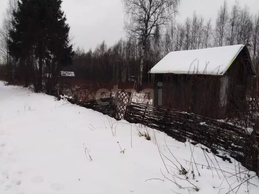 Участок в Вологодская область, Вологда Медик садоводческое ... - Фото 1