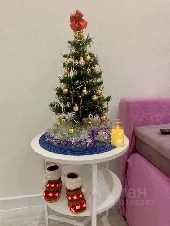 1-к кв. Псковская область, Псковский район, Завеличенская волость, д. ... - Фото 2